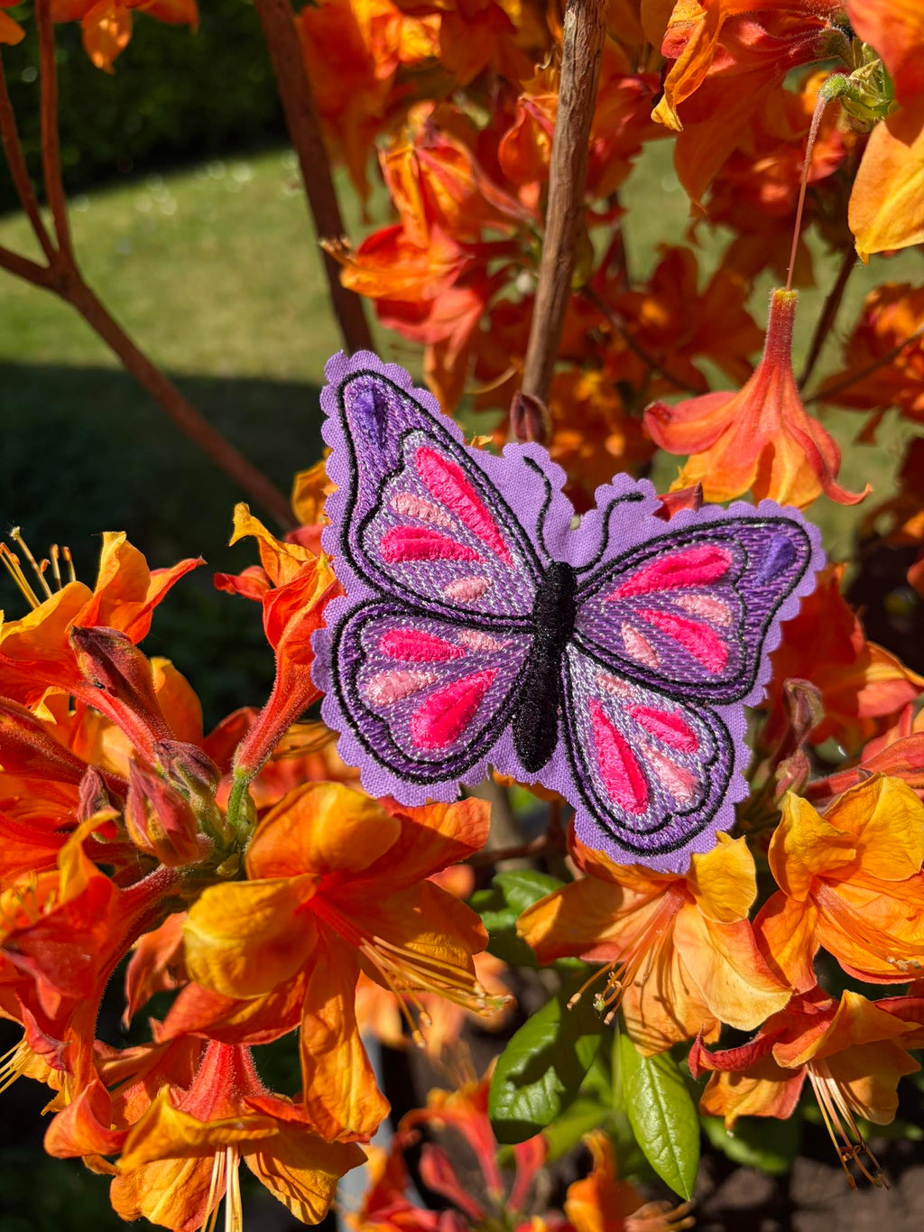 Papillon Velvet Effet velours – Fichier Broderie Disponible 10x10