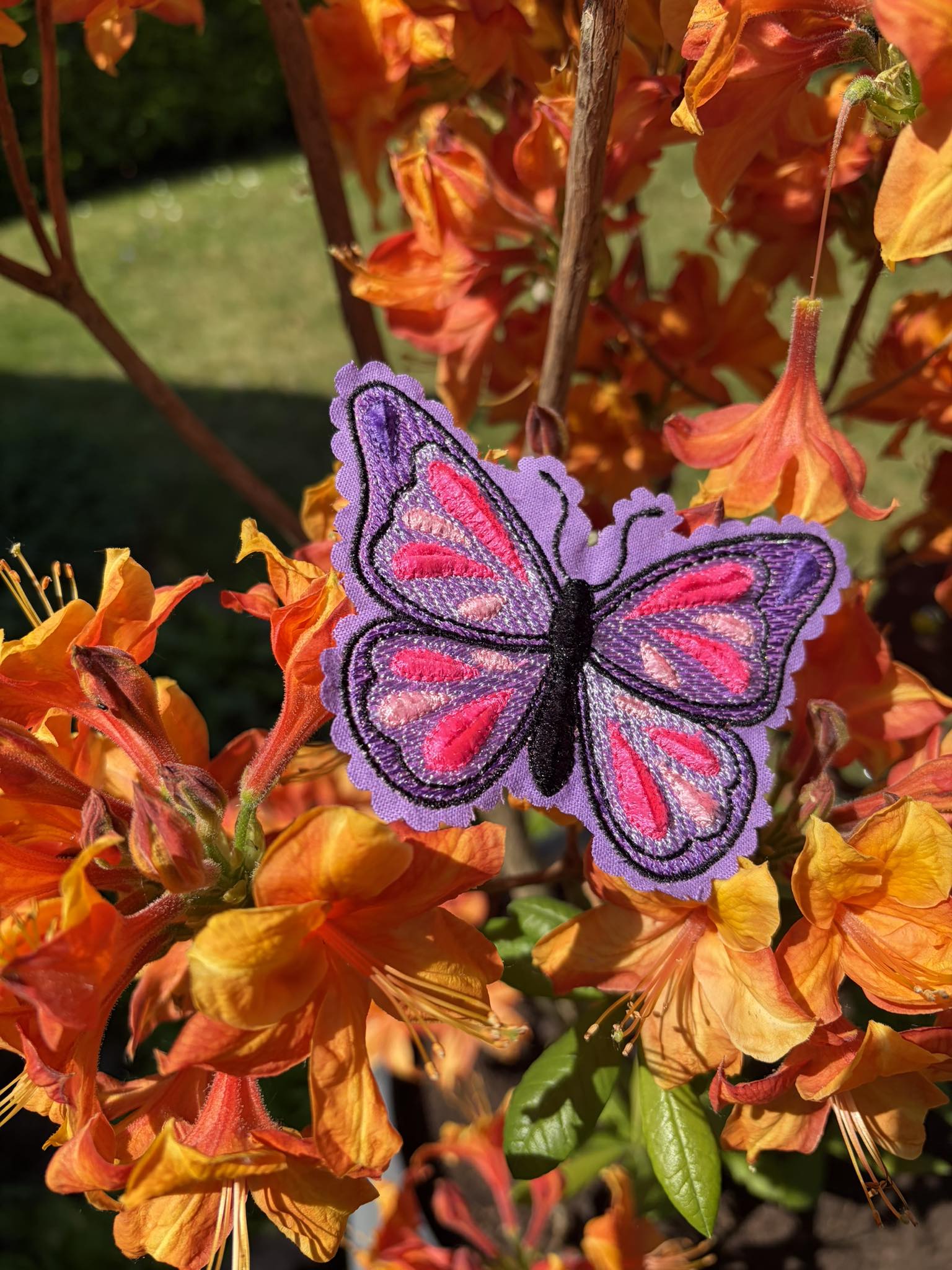 Papillon Velvet Effet velours – Fichier Broderie Disponible 10x10