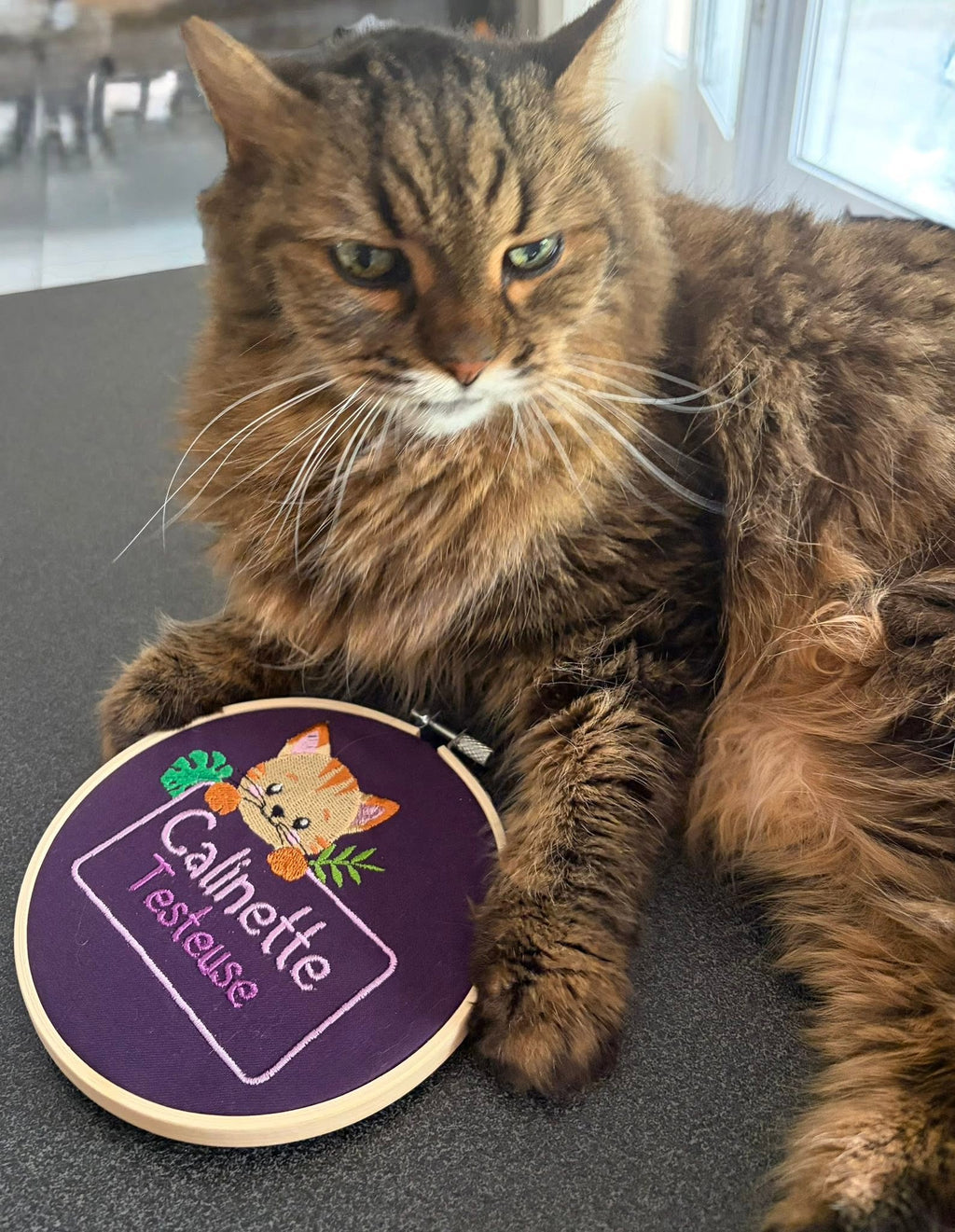 Motif de broderie Étiquette Chat 10x10 avec adorable chaton et feuillage à personnaliser avec un prénom ou un texte