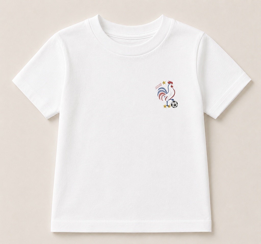 Motif de broderie machine coq tricolore football 2026 format PES DST JEF